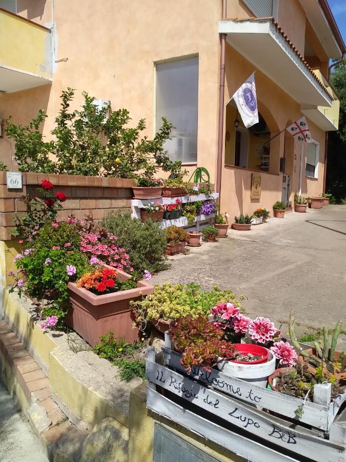 B&B Il Rifugio Del Lupo - E6721 Paringianu Exterior photo